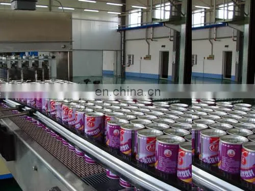Canned Pineapple Processing Machine Canned Pineapple Slices Production Line photo-5