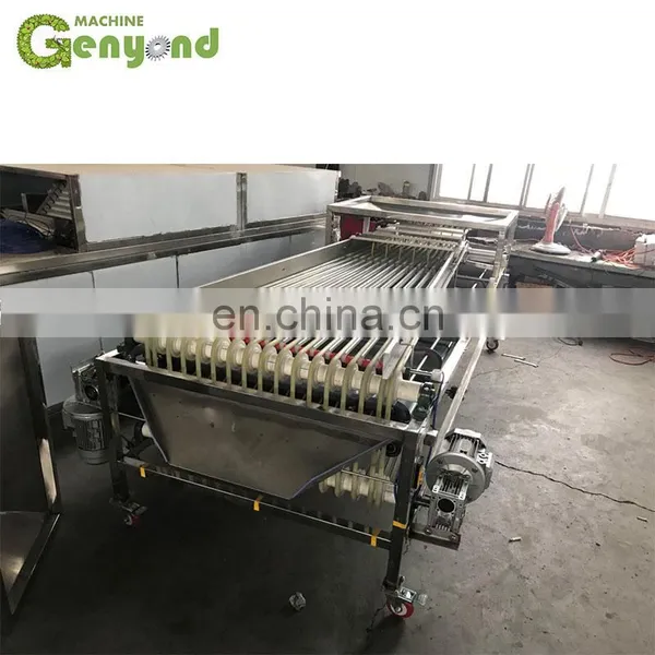 Custom Fresh Medjool Dates Sorting Machine for Vegetable and Fruit Sorter photo-4