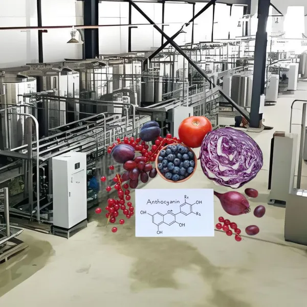 Plant Raw Material Crude Extract Membrane Separation Equipment photo-5