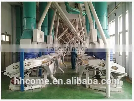 300TPD High Efficiency Corn Grits Mill Milling Machine at Factory Price photo-5