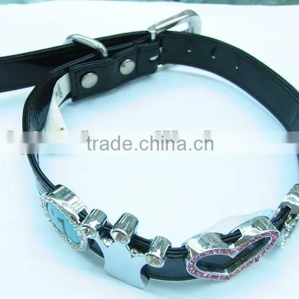 Pet Accessories