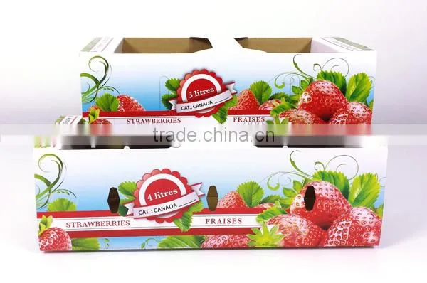 China Factory Recyclable Fruit Packaging Box With High Quality Supplier's Choice photo-6