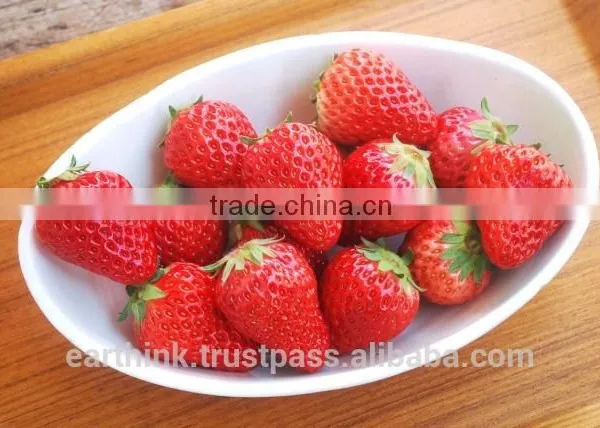Japanese Very Popular Wagashi ENDO's 'Zero Calorie' Japanese-style Strawberry Jelly 88g photo-6