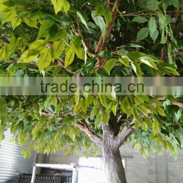 New Product Best Selling Evergreen Carambola Fake Tree Artificial Tree for Decoration photo-2