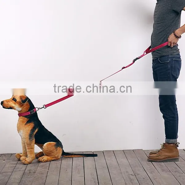 Custom Print Logo Dog Leash Retractable photo-5