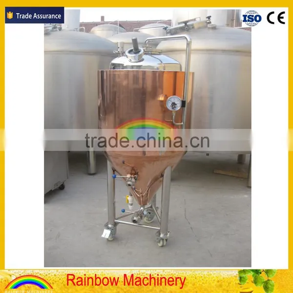 Beer Brewing Equipment / Conical Fermenter / Small Home Brewing Fermenter