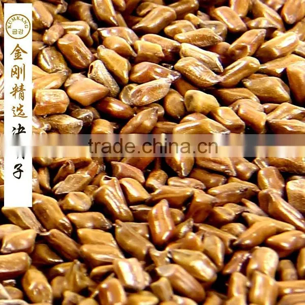 Semen Cassiae Tea/Pure Natural Semen Cassiae/semen Cassiae for Eye photo-2