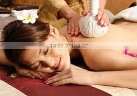 Thai Herbal Massage Ball photo-5