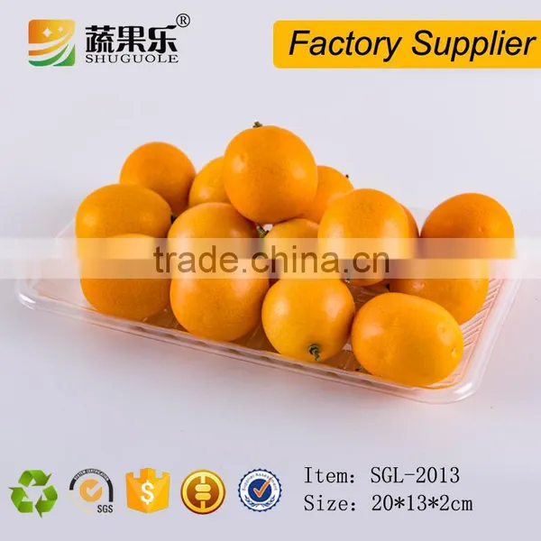 Cheap Clear Disposable PET Plastic Food Fruit Packaging Tray photo-2