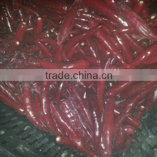 FRESH CHILI photo-4