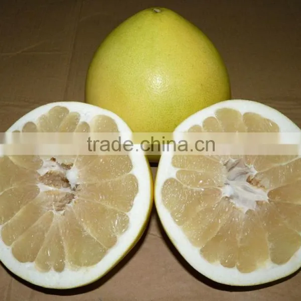 Chinese Fresh Pomelo Fujian Pomelo Sweet Pomelo