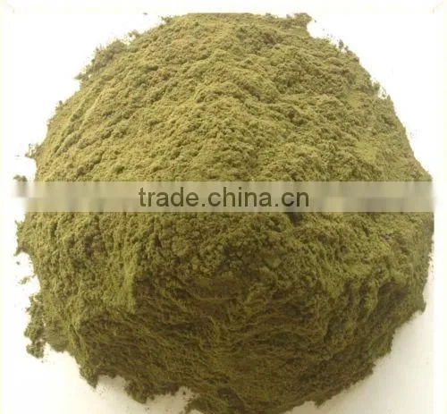 Guyabano / Soursop / Graviola Leaves Powder