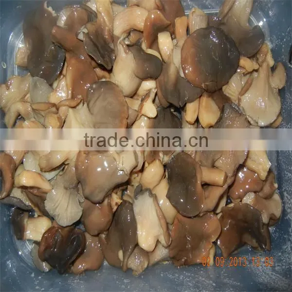 Market Price of Preserved Oyster Mushroom in Brined in 50kg Drum