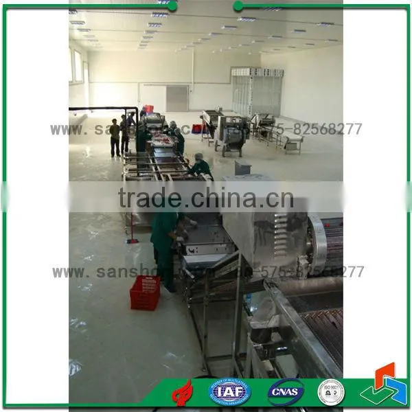 vegetable fruit processing line for quick frozen