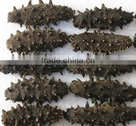 Sea Cucumber Microwave Vacuum Dryer photo-4