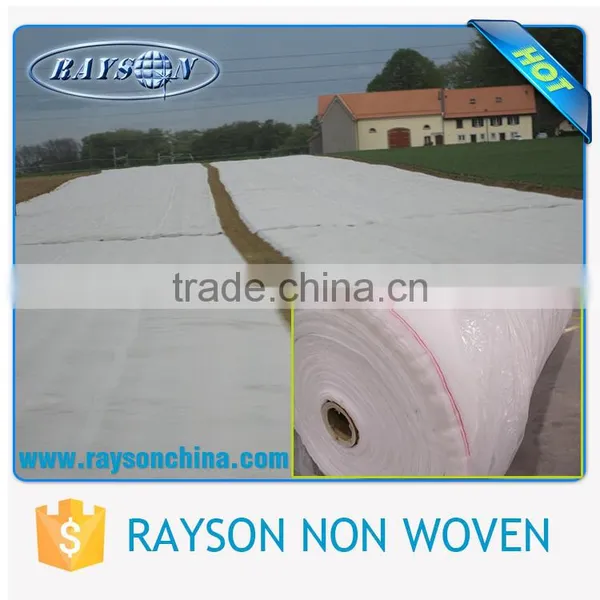 PP Spunbond Weed Control / Ground Cover / Landscape Fabric Wholesale photo-4
