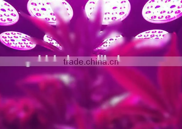 Greenhouse Led Panel Grow Light Switchable Indoor Growing Light With Best Price photo-6