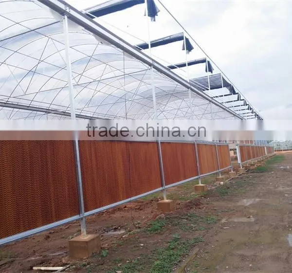 Factory Price Plastic Covered Commercial Greenhouses photo-3