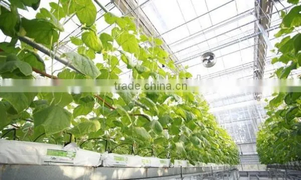Commercial Greenhouse