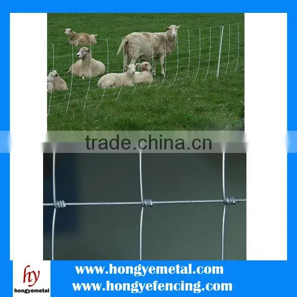 Sheep Wire Mesh Fence(Hot Sale) photo-5
