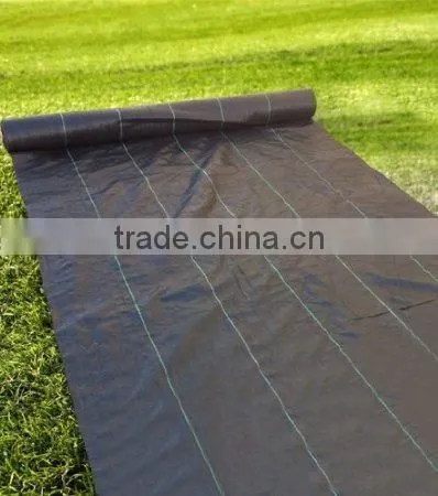 Waterproof Tent Cover Landscape Fabric photo-5