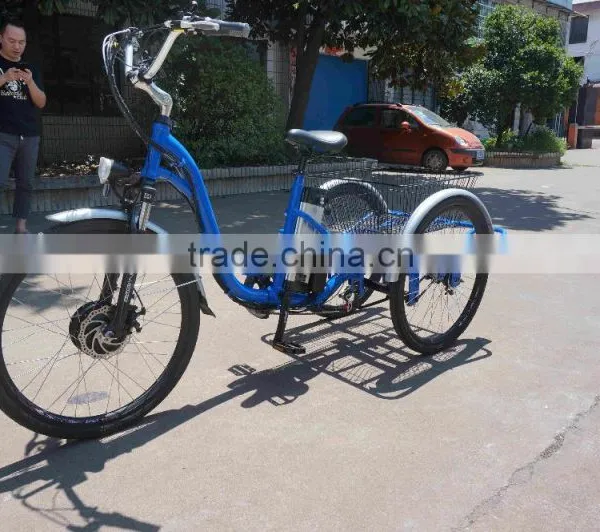 3 Wheel Electric Trike Electric Cargo Trike for Sale photo-3