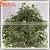 Hot Sale Outdoor Artificial Hanging Marijuana Plant Cheap Artificial Plants photo-5