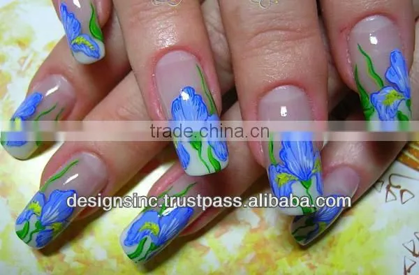 Professional Nail Art Printing Machine/NP2013