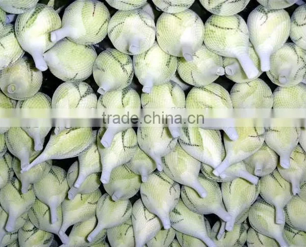 Rose Flower Protective Bud Netting photo-3