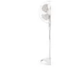 Stand Fan