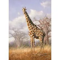 Low Price Handmade Oil Painting Wall Hanging Decoration