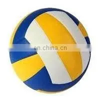 Sporting Goods Volleyball