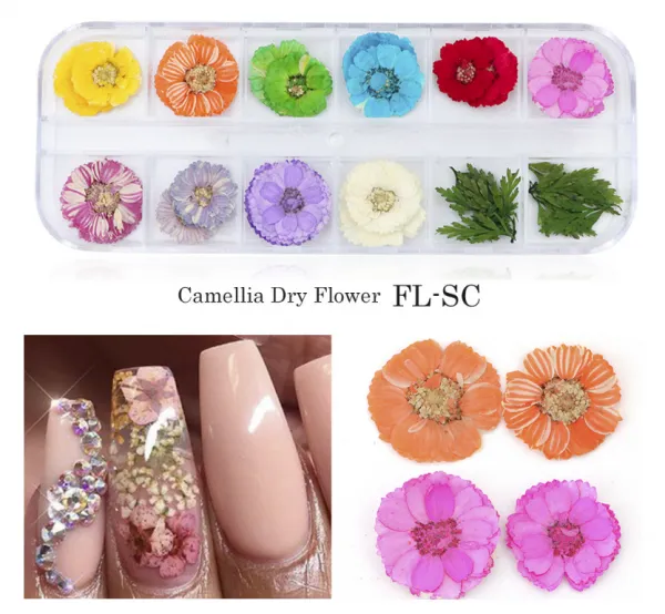 Babysbreath Dry Flower For Nail Decorations Dried Flowers Nail photo-2
