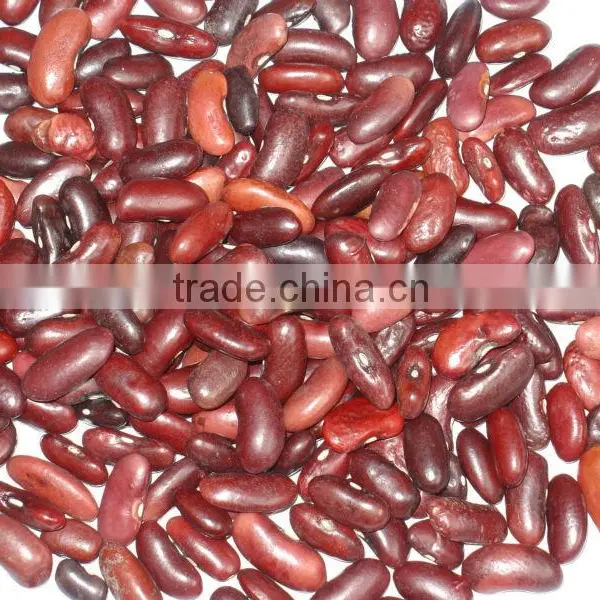 Red Kidney Beans