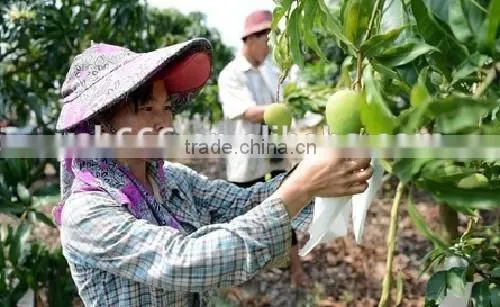 Different Sizes Fruit Protection Paper Bag photo-6
