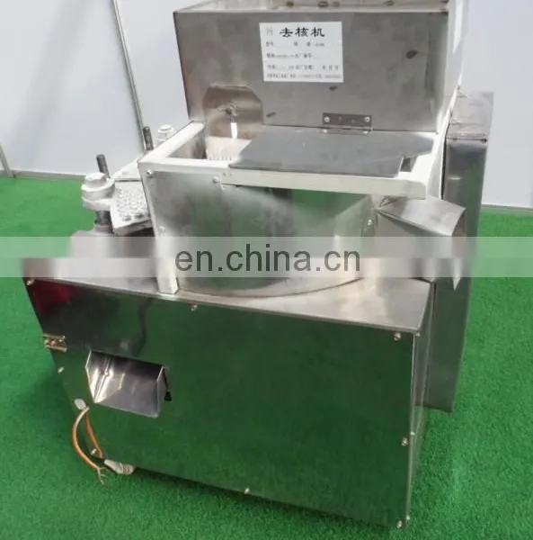Factory Lychee Peeling and Pit Removing Machine Pitter Lychee Peeling Peeler Equipment Longan Peeling and Pitting Machine photo-3