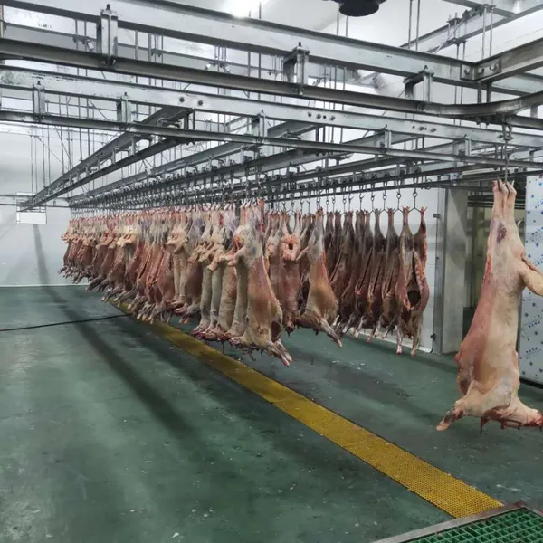 Abattoir Equipment Goat Slaughtering Processing Plant For Sheep Slaughterhouse photo-3