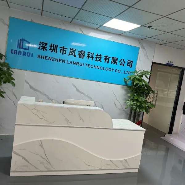 Shenzhen Lanrui Technology Co., Ltd company overview - view 1