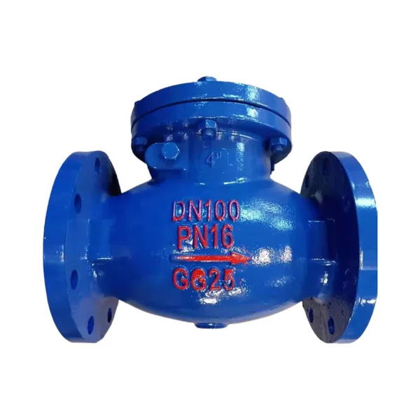 DIN Ductile Iron GGG40 Swing Check Valve Pn16 CI Soft Seat Check Valve Lift Check Valve photo-2
