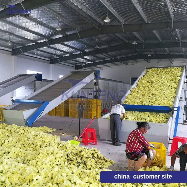 Continuous Mesh Belt Pinellia Ternata Cornus Officinalis Seaweed Bamboo Shoots Tea Drying Machine photo-2