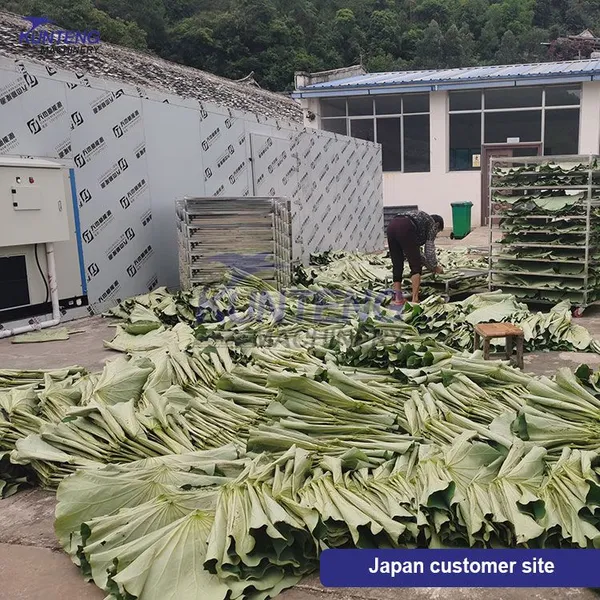 Seafood Chicken Manure Box Dryer Pumpkin Seed Fish Spinach Angelica Sinensis Dryer photo-5