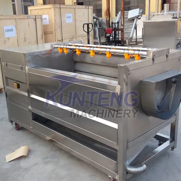 Commercial Fresh Ginger Washing and Peeling Machine Vegetable Washers Shell Fish Carrot Dates Potato Cleaning Machine EPC photo-5