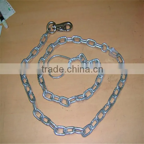 Hot Sale Welded Dog Chain photo-4
