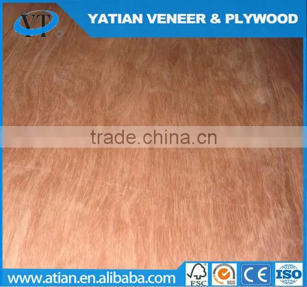 Rotary Cut 0.22-0.3mm Door Size Water Gum Veneer photo-4