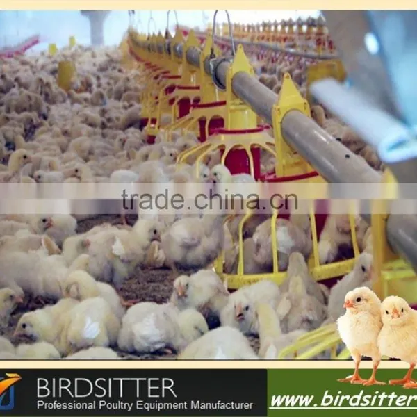 Automatic Poultry Equipment Feeding System Equipment for Poultry Farm and Chicken House