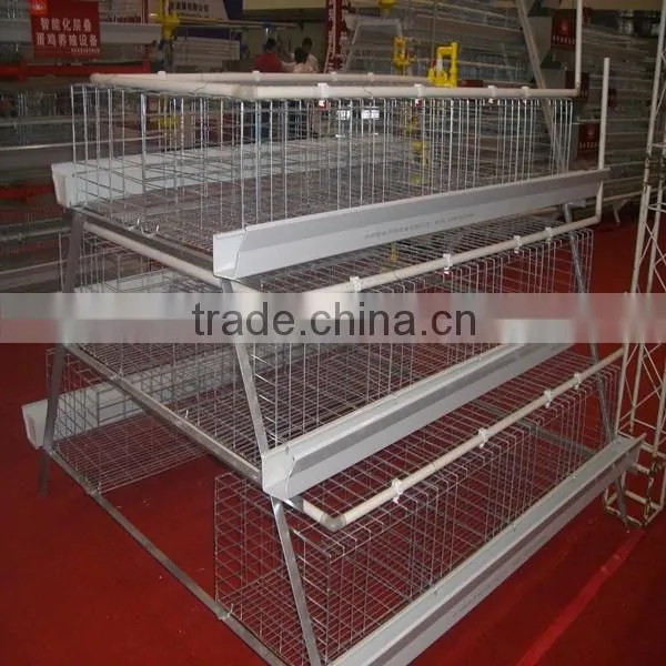Chicken Broiler /cock Cage With Automatic Poultry Equipment photo-2