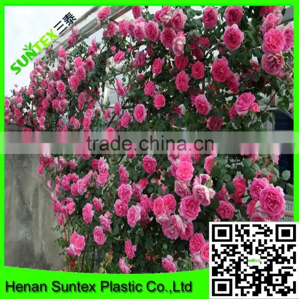 Heavy Duty Long-lasting Trellis Netting Squares Plant Support Mesh photo-2
