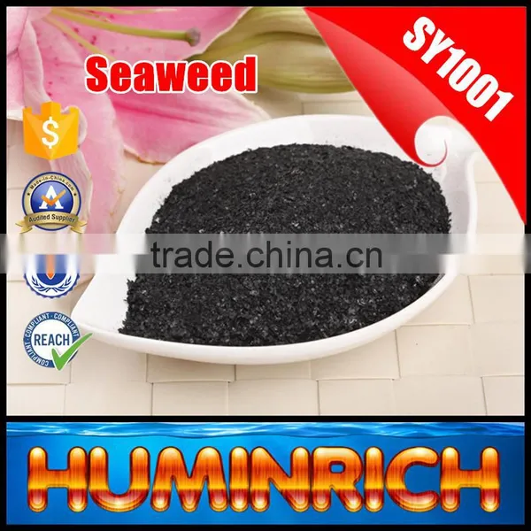 FAQ 19--Application Of Seaweed Extract Fertilizer On Vegetable photo-6