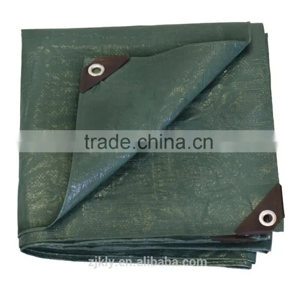 Outdoor PE Material Large Size Tent Tarp