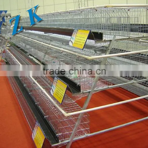 Design Layer Chicken Cage For Sale From Chicken Cage Factory (2015 Top Selling, Promotion, Fast Delivery photo-5